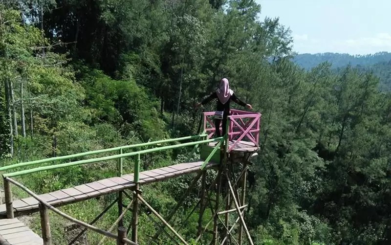 Rahasia Curug Wanasuta: Langkah Pertama Menemukan Surga Tersembunyi di Cilacap